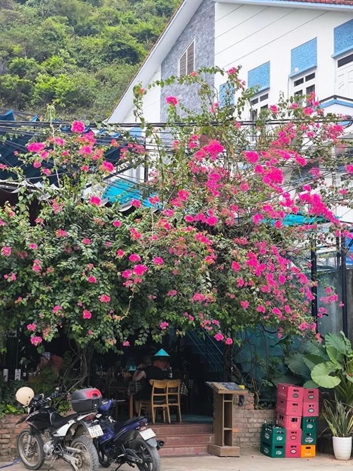 Phong Nha Jasmine Hostel & Roof Top Bar Exterior photo